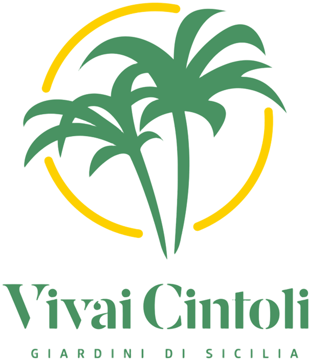 Vivai Cintoli